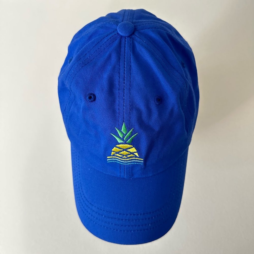 CHUBBIES The Royal Blue Pineapple Dad Hat Strapback Embroidered - Picture 7 of 9